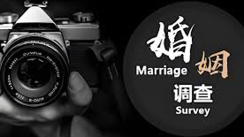定西婚姻调查